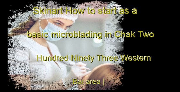 Skinart How to start as a basic microblading in Chak Two Hundred Ninety Three Western Bar area | MicrobladingTraining | MicrobladingClasses | SkinartTraining-Pakistan